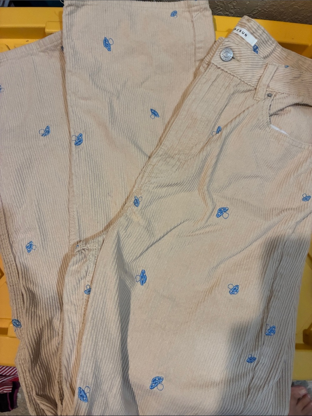 PacSun Beige Corduroy Men’s Pants with Blue Embroidery